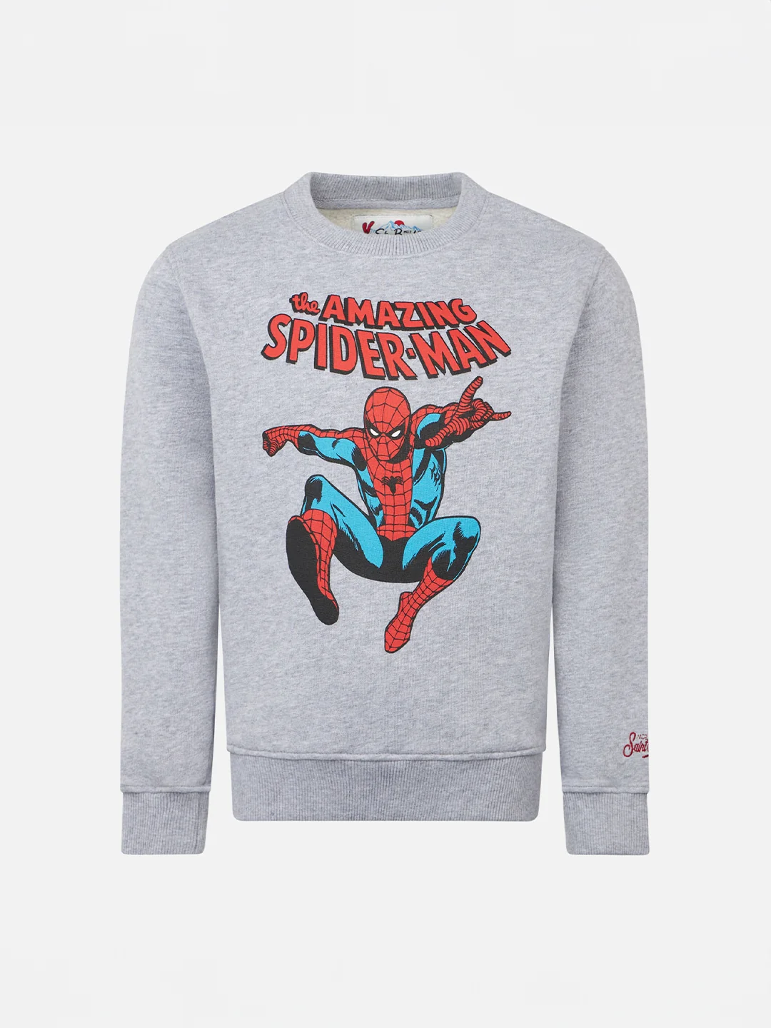 Hutton grey sweatshirt Spiderman print | Special edition