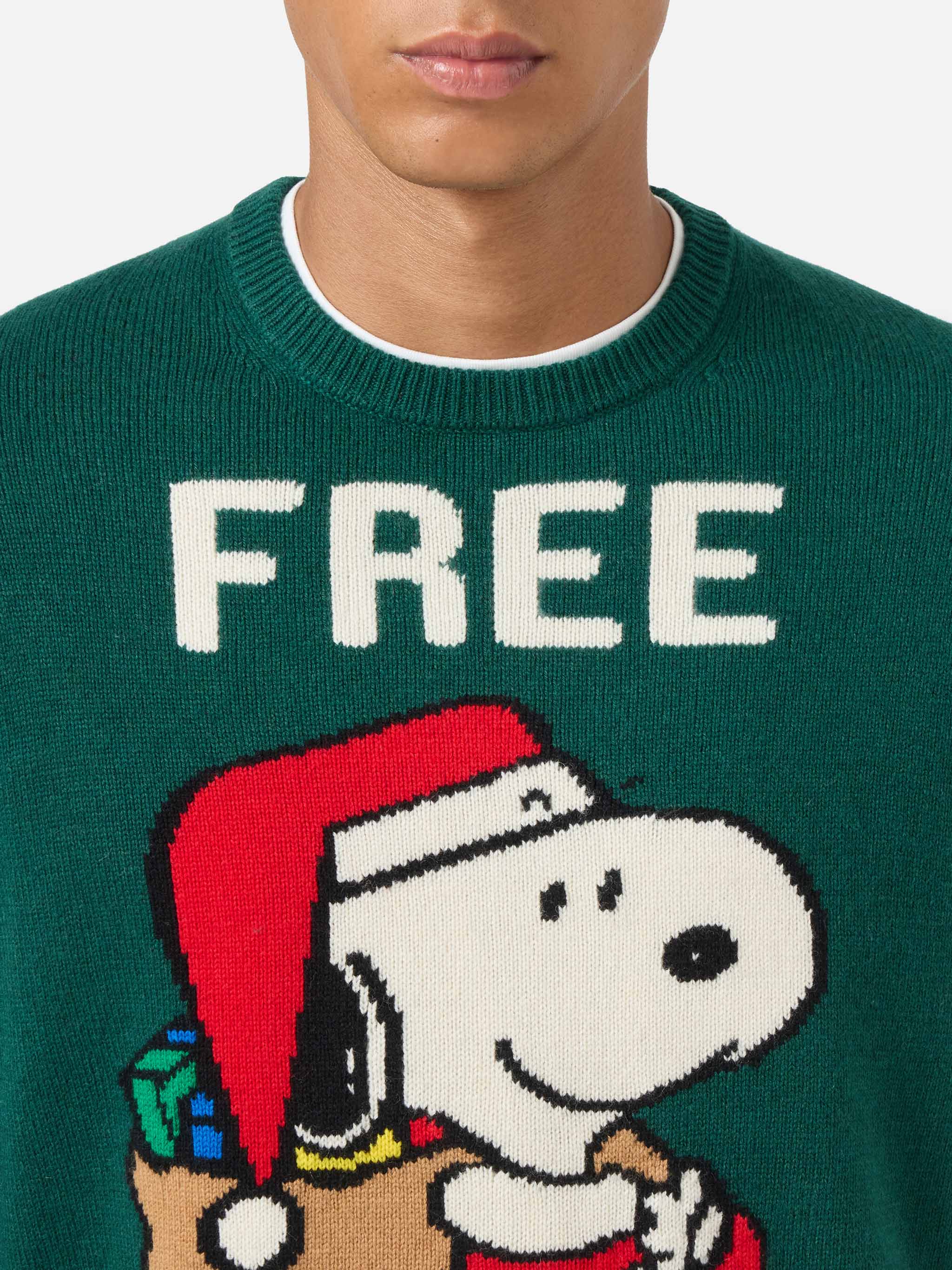 Green sweater Heron with Snoopy jacquard | SNOOPY PEANUTS® SPECIAL EDITION - Image 2